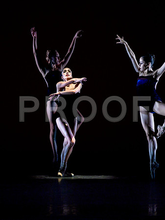 7025_DG_VISCERA_Preformance_Lian_Scarletts_Ballet_MCM_FL_FL_AL1B3547