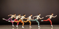 170112_Glass_pieces_Akhnaten_PR_MCB_73A7531