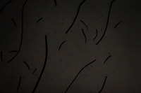 20160211_Sunset_DR_Closeup_IMG_6629