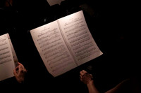 20240417_Swan_Lake_Orchestra_DSC5063.ARW