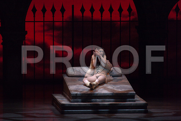 5029_DG_Miami_City_Ballet_Romeo_and_Juliet_Broward_center_2011_MG_7784