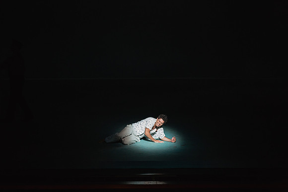 Before the Night Falls Florida Grand Opera by Jorge Martin with Dolores M. Koch