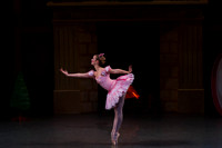 20130222-AL1B4802