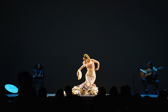 20210417_Siudy_ flamenco_archt_DSC5804