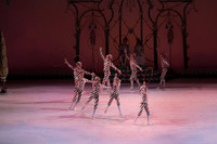 20141229_Nutcracker_WPB_Hoops_CG3P1345