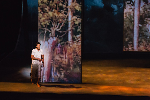 Before Night Falls Florida Grand Opera by Jorge Martin with Dolores M. Koch