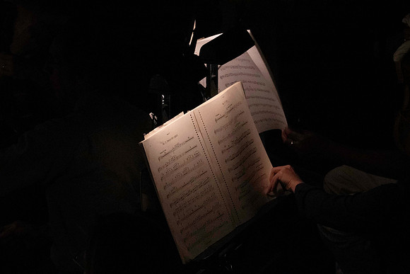 20240417_Swan_Lake_Orchestra_DSC5066.ARW