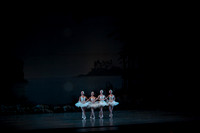 20151025_MCB_Swan_Lake_2Cast_Arsht_IMG_0009