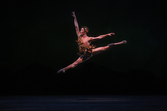 20160317_Midsummer_Night's_Dream_DR_Closeup_IMG_5517