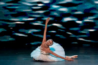 20241026_untitled20241026_Dying Swan__DSC5811