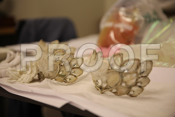20150901_Fitting_Swan_Lake_Wardrobe_IMG_6236