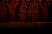 20151025_MCB_Vicera_2Cast_Arsht_CG3P2917