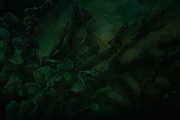 20160317_Midsummer_Night's_Dream_DR_Closeup_IMG_5417