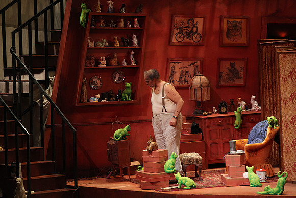 Don Pasquale Florida Grand Opera by Giovanni Ruffini and Gaetano Donizetti