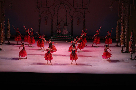 20141229_Nutcracker_WPB_Flowers__CG3P2191