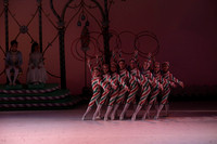 20141229_Nutcracker_WPB_Hoops_CG3P1343