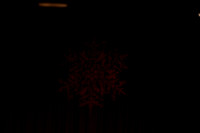 20141229_Nutcracker_WPB_Angels_CG3P0003