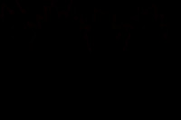 20240418_Swan_Lake_ACT_3_2_Cast_DSC8418.ARW