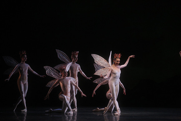 20160317_Midsummer_Night's_Dream_DR_Closeup_IMG_5505