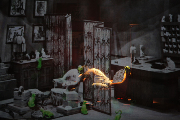 Don Pasquale Florida Grand Opera by Giovanni Ruffini and Gaetano Donizetti