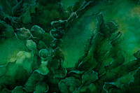 20241017_Midsummer_DR_MCB_10542