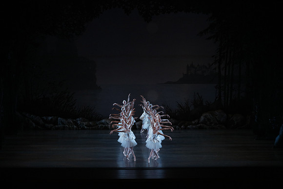 20151022_MCB_Swan_Lake_DR_WD_Arsht__75A6916