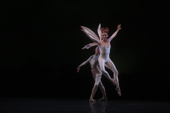 20160317_Midsummer_Night's_Dream_DR_Closeup_IMG_5439