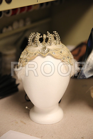 20150901_Fitting_Swan_Lake_Wardrobe_IMG_6225