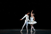 _DSC1813