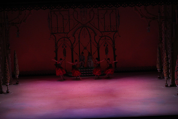 20141229_Nutcracker_WPB_Flowers__CG3P2018