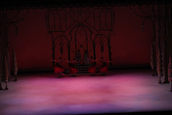20141229_Nutcracker_WPB_Flowers__CG3P2019