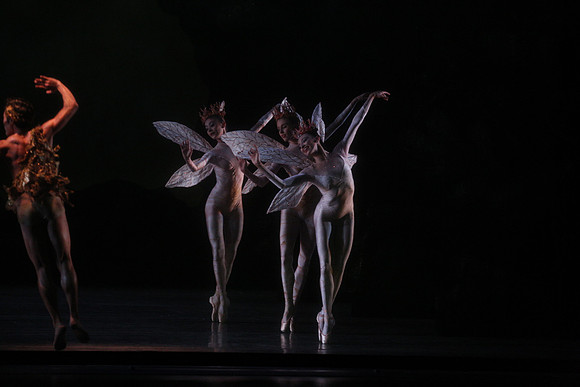 20160317_Midsummer_Night's_Dream_DR_Closeup_IMG_5641