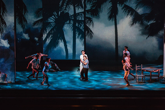 Before Night Falls Florida Grand Opera by Jorge Martin with Dolores M. Koch