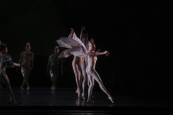 20160317_Midsummer_Night's_Dream_DR_Closeup_IMG_5638
