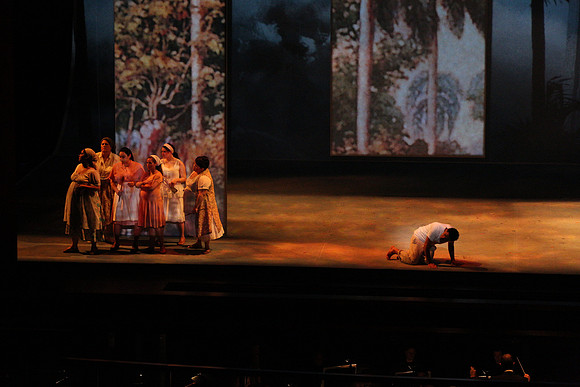 Before Night Falls Florida Grand Opera by Jorge Martin with Dolores M. Koch