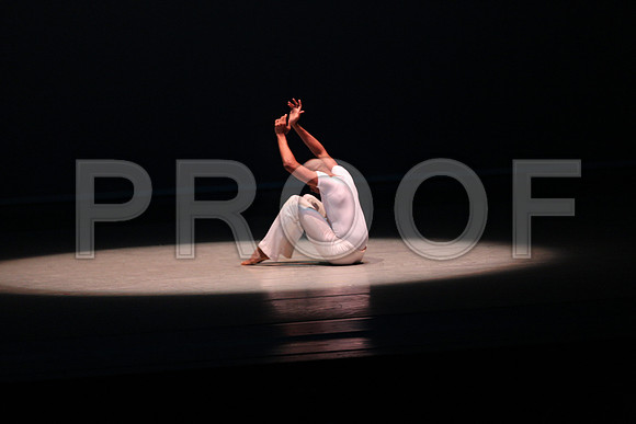 20170223_Alvin_Ailey_Revelations_PR_Wide_9C7C0031