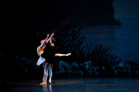 20151022_MCB_Swan_Lake_DR_Arsht_IMG_7710