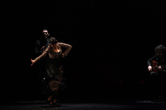 20140227_Flamenco_Festival_1_9C7C0148