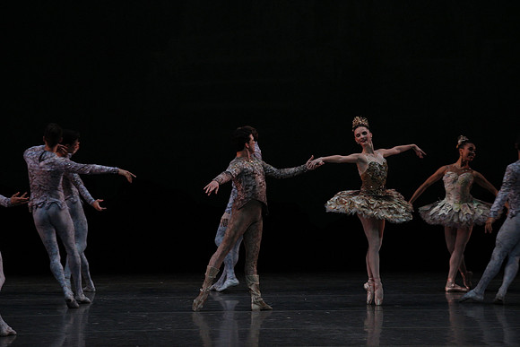20160318_Midsummer_Night's_Dream_PR_Closeup_G3P0093