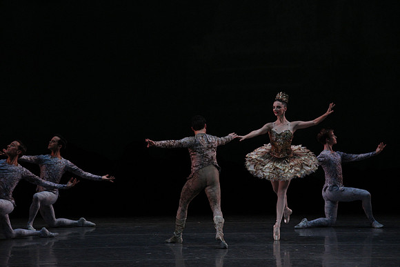 20160318_Midsummer_Night's_Dream_PR_Closeup_G3P0069