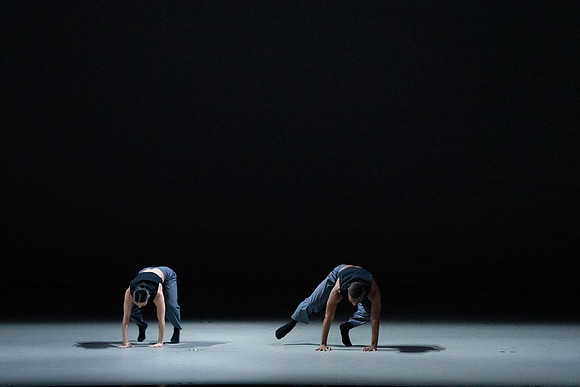 20250228_Down_Rabbit_Hole_Alvin Ailey II_DSC5477