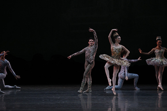 20160318_Midsummer_Night's_Dream_PR_Closeup_G3P0085