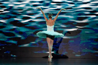 20241026_untitled20241026_Dying Swan__DSC5572