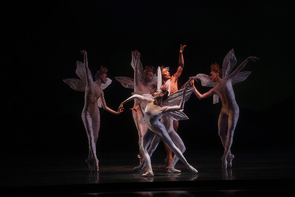 20160317_Midsummer_Night's_Dream_DR_Closeup_IMG_5621