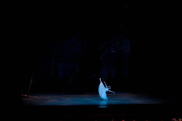 7064_DG_GISELLE_Broward_Preformance_Miami_City_Ballet_FL_IMG_4052