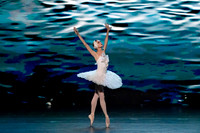 20241026_untitled20241026_Dying Swan__DSC5790