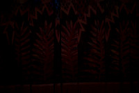 20160213_Year_of_the_Rabbit_2Cast_Arsht_PR_G3P6290
