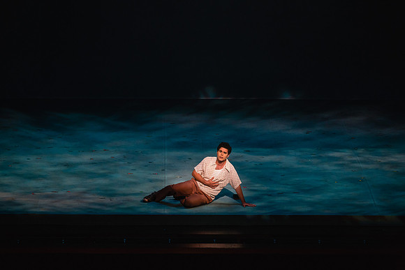 Before the Night Falls Florida Grand Opera by Jorge Martin with Dolores M. Koch