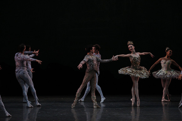 20160318_Midsummer_Night's_Dream_PR_Closeup_G3P0092