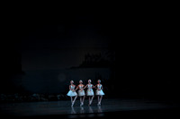 20151025_MCB_Swan_Lake_2Cast_Arsht_IMG_0014